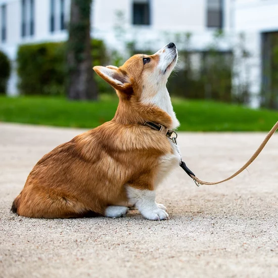 Martha Stewart How to Make Your Glass Shower Door Sparkle Milled