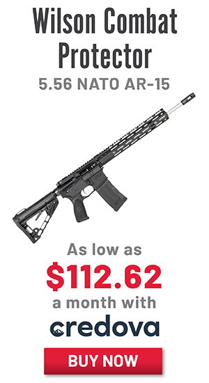 Wilson Combat Protector AR-15 