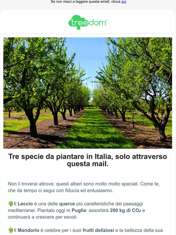 — vuoi piantare alberi in Italia? Li trovi solo qui!
