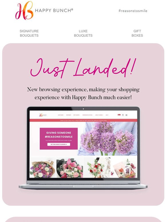 ✨ALL-NEW WEBSITE EXPERIENCE!✨
