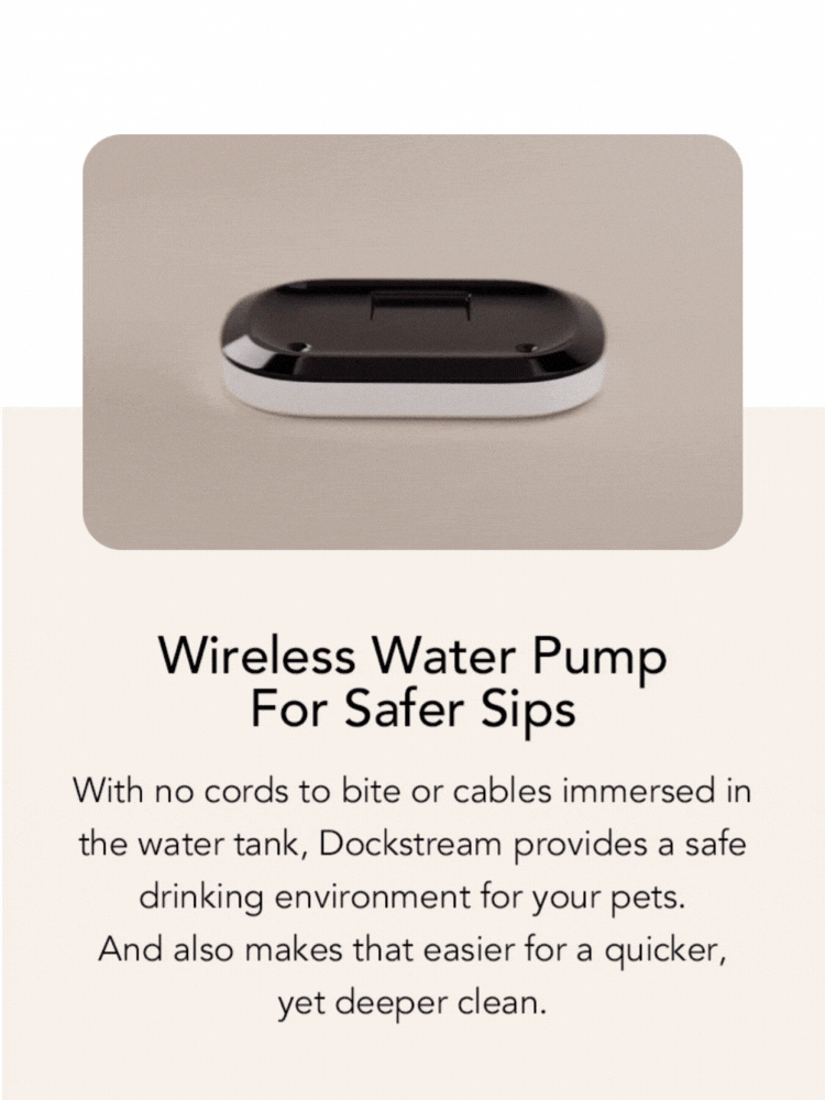 Wireless Water Pump, For Safer Sips