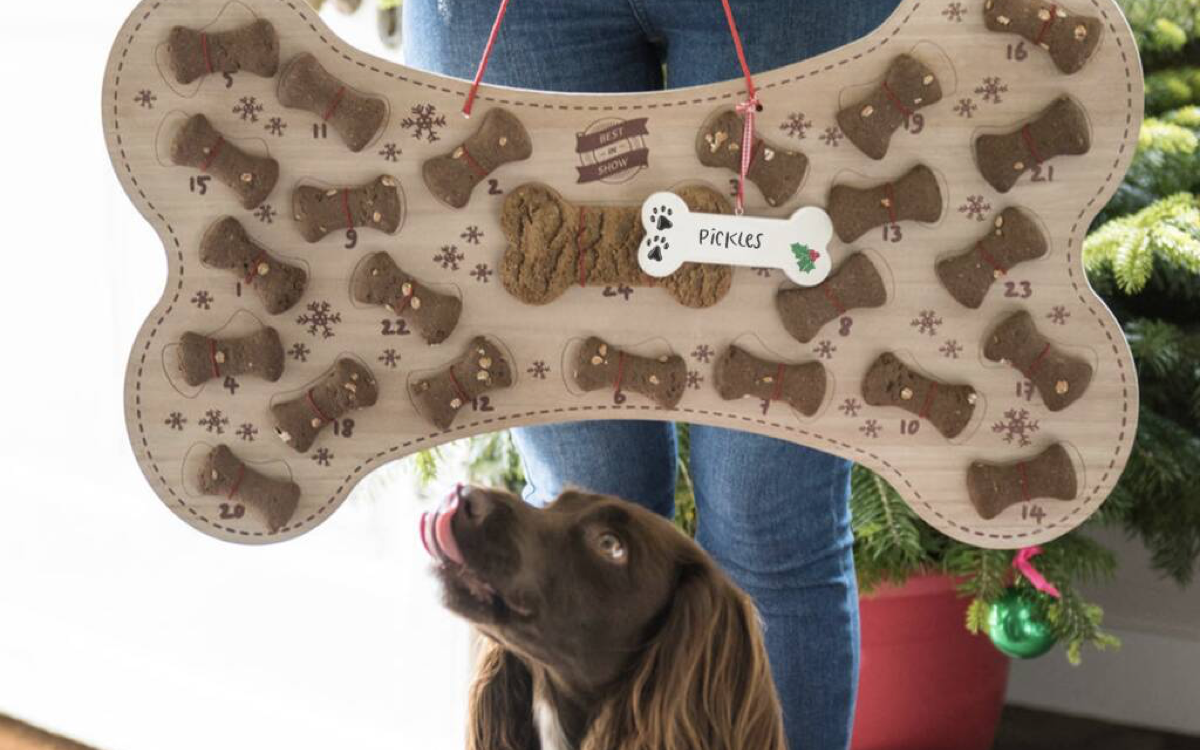 Refillable Dog Biscuit Advent Calendar