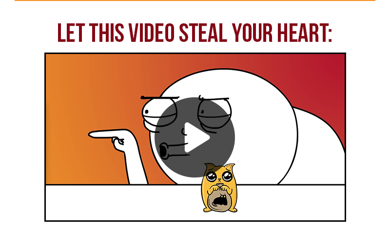 Let this video steal your heart.