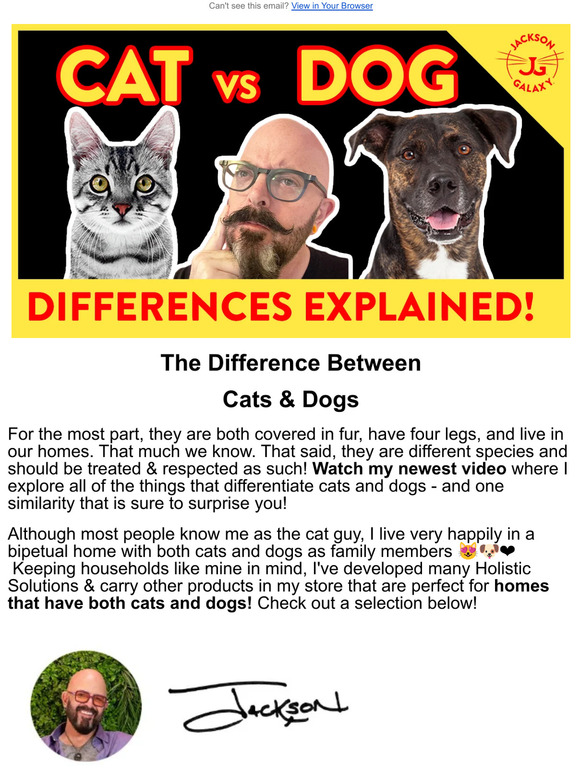 Are Cats And Dogs The Same Species