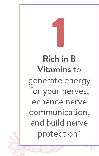 1 Rich in B Vitamins to generate energy for your nerves, enhance nerve communication, and build nerve protection*