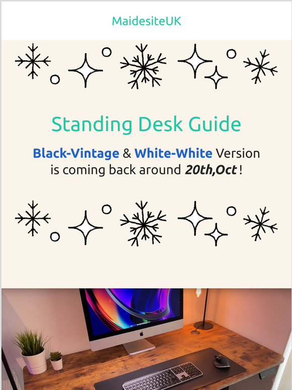 Vintage & White Top Version are Available to Pre-Order _Maidesite