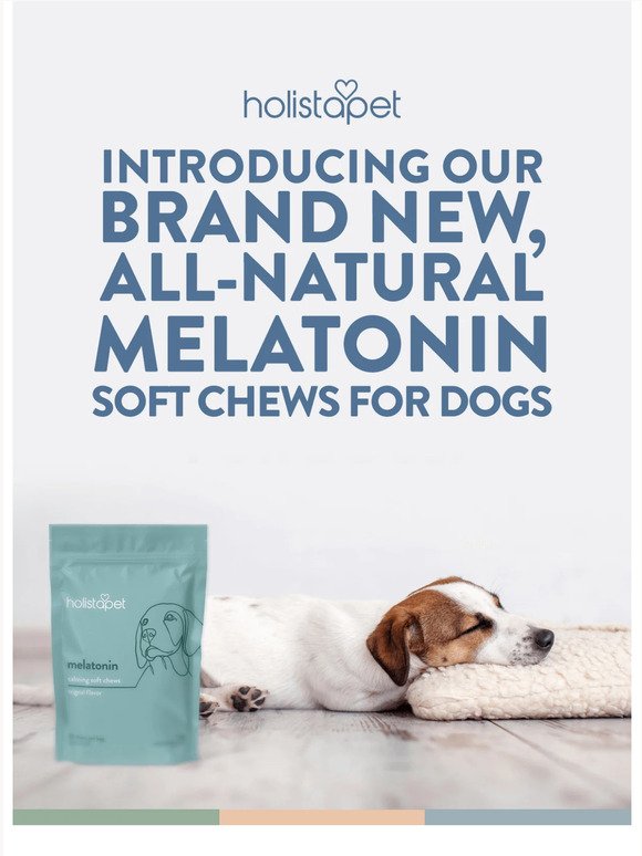 NEW Melatonin Soft Chews for Dogs! 🐶