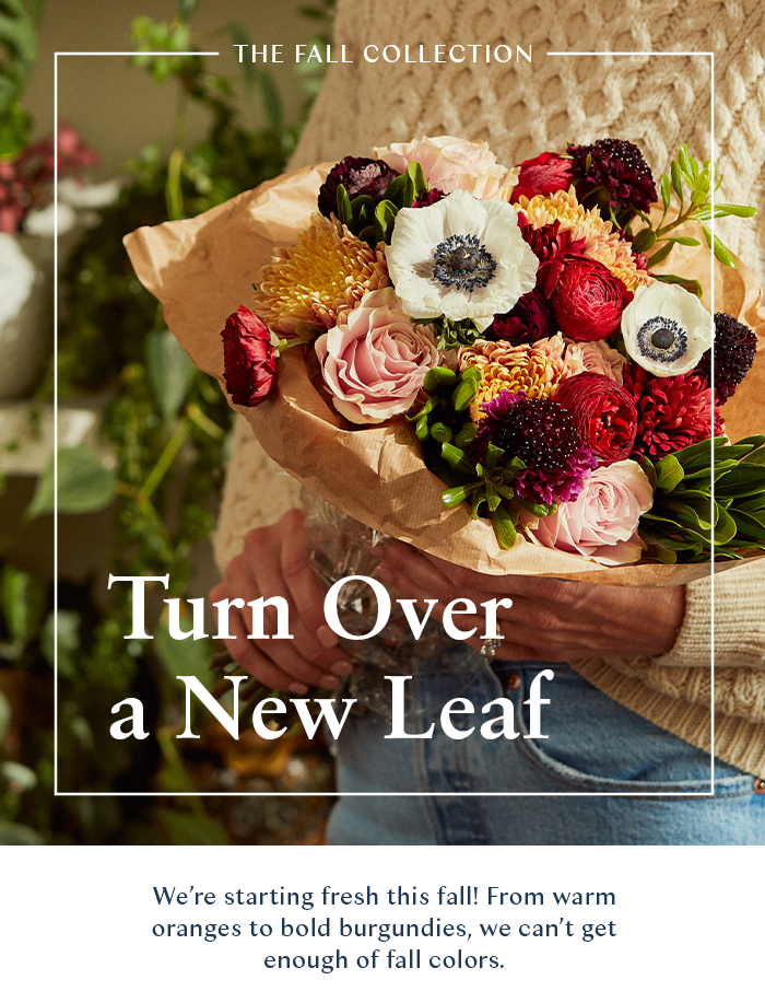 UrbanStems Our favorite colors 🍂 Milled