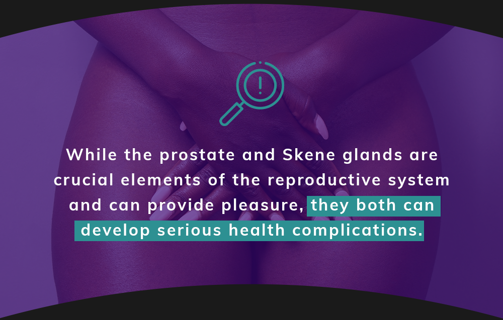 Do women have prostates?