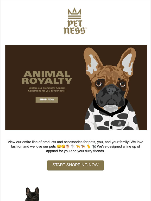 SHOP PET-NESS APPAREL AND ACCESSORIES