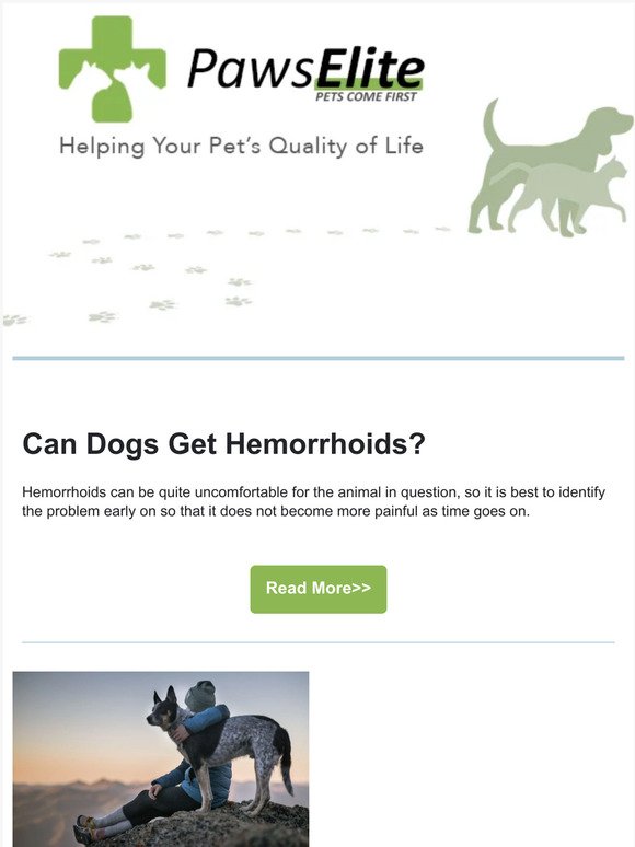 Is Your Dog at Risk for Hemorrhoids?