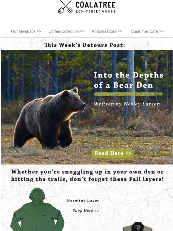 Into the Depths of a Bear Den – Coalatree