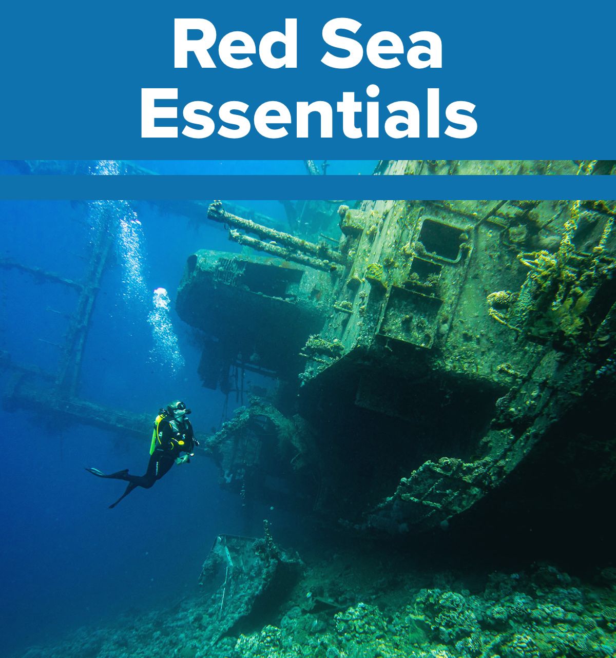 Simply Scuba Ltd Red Sea Essentials 🤿 Milled