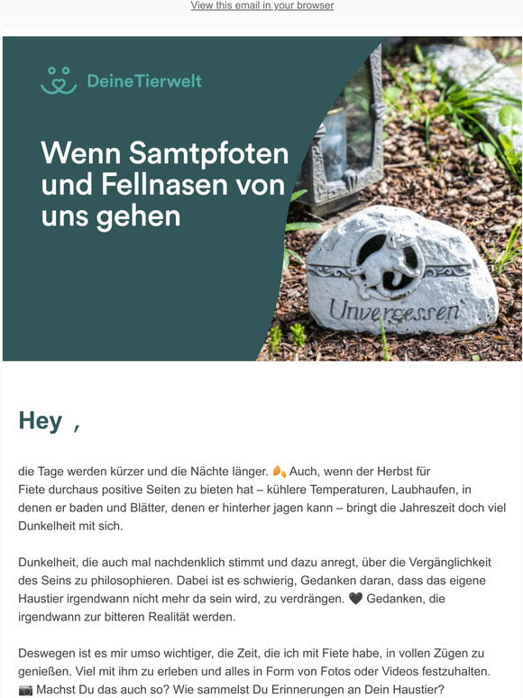 Wenn Haustiere sterben – auch das muss Thema sein 😢