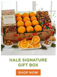 Hale Signature Gift Boxes