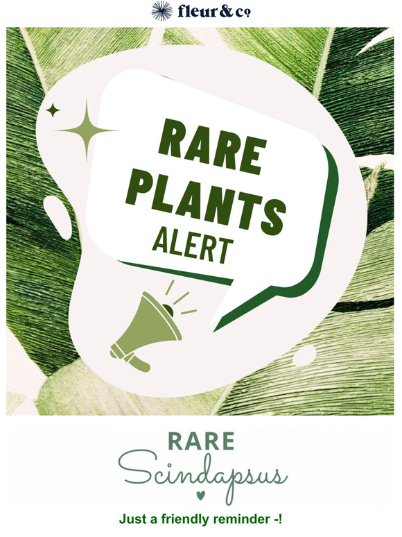 Reminder! RARE plants! 🌱💚
