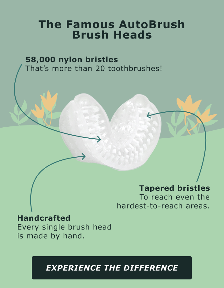 The Famous AutoBrush Brush Heads