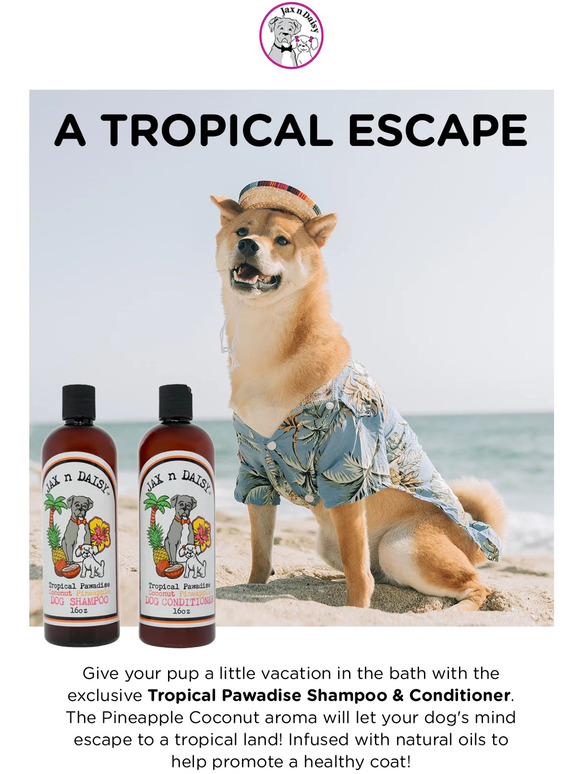 Jax n Daisy An exclusive new scent Milled