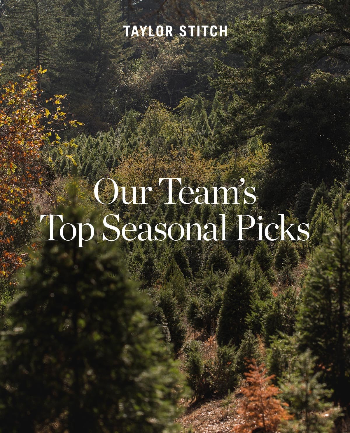 Our Team's Top Seasonal Picks