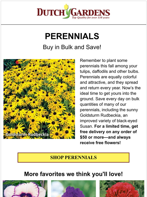 🌼 Perennials planted in fall will bloom for years!