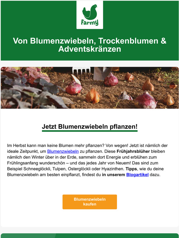 Unsterbliche Blumenfreude 💐