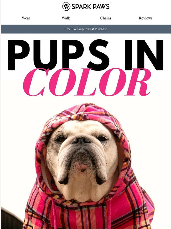 Spark Paws Pups In Color 🐶 Milled