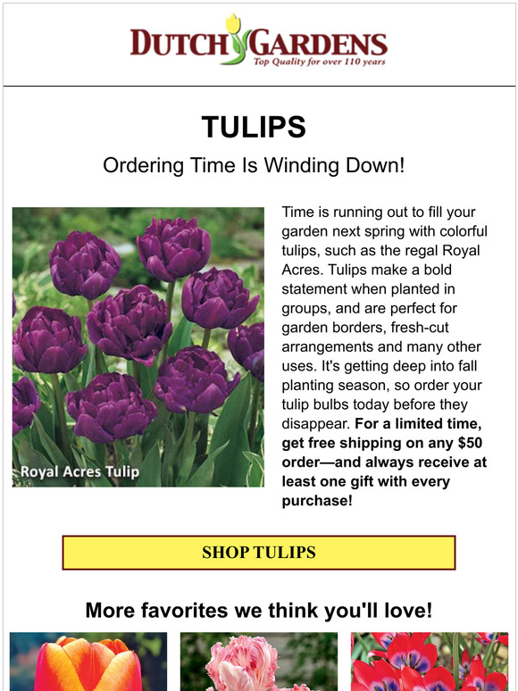 🌷 Order your tulips now before they're gone!