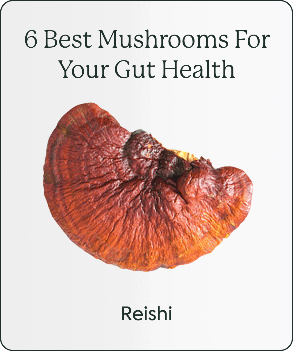 Plant People The 6 Best Mushrooms For Your Gut Health Milled