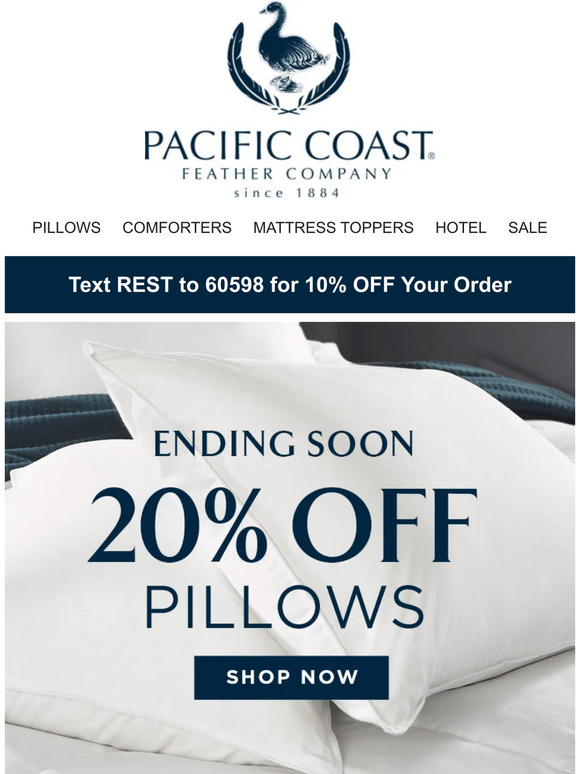 Pacific Coast Feather Company 20 OFF Your New Favorite Fluffy Pillow