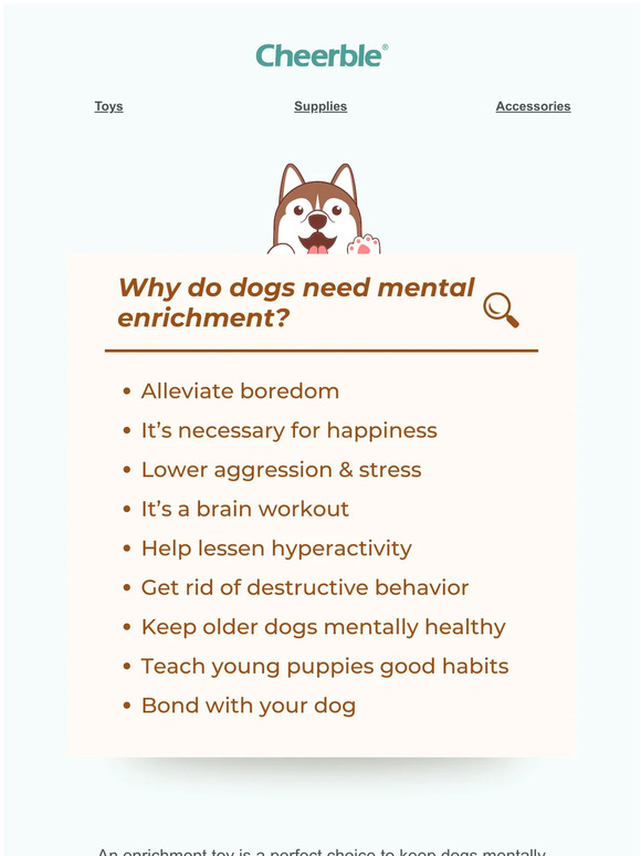 Cheerble Why do dogs need mental enrichment? Milled