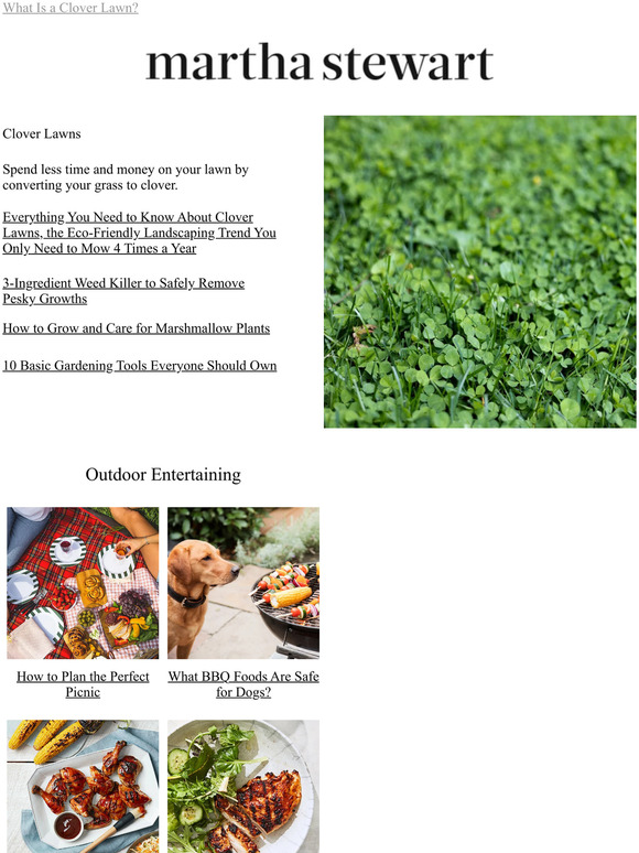 Martha Stewart Clover Lawns The Landscaping Trend You Only Mow 4