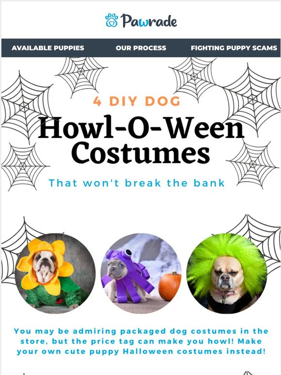 4 DIY Dog Howl-O-Ween Costumes 🐾 🎃