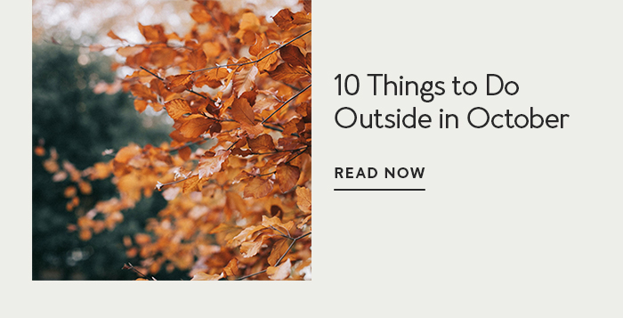10 Things to Do Outside in October