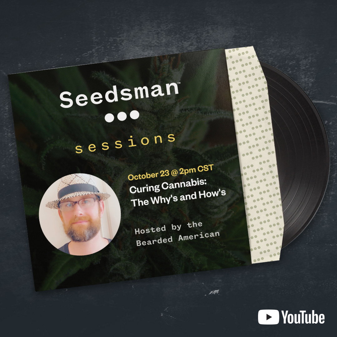 Watch Seedsman Sessions live 