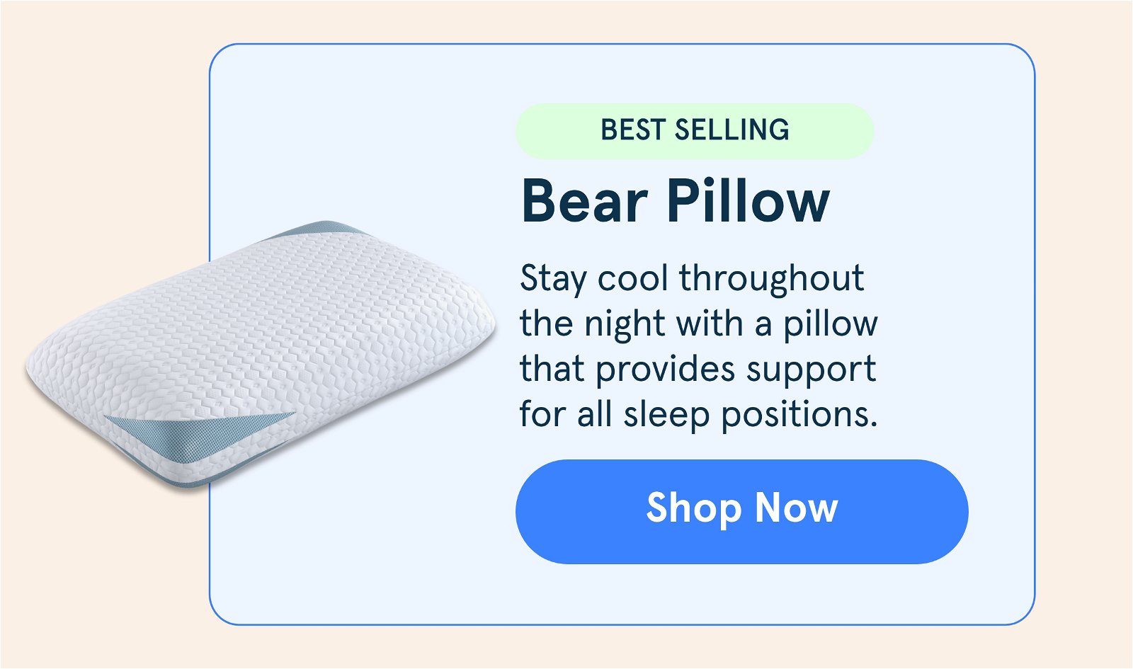 Shop Bear Pillow
