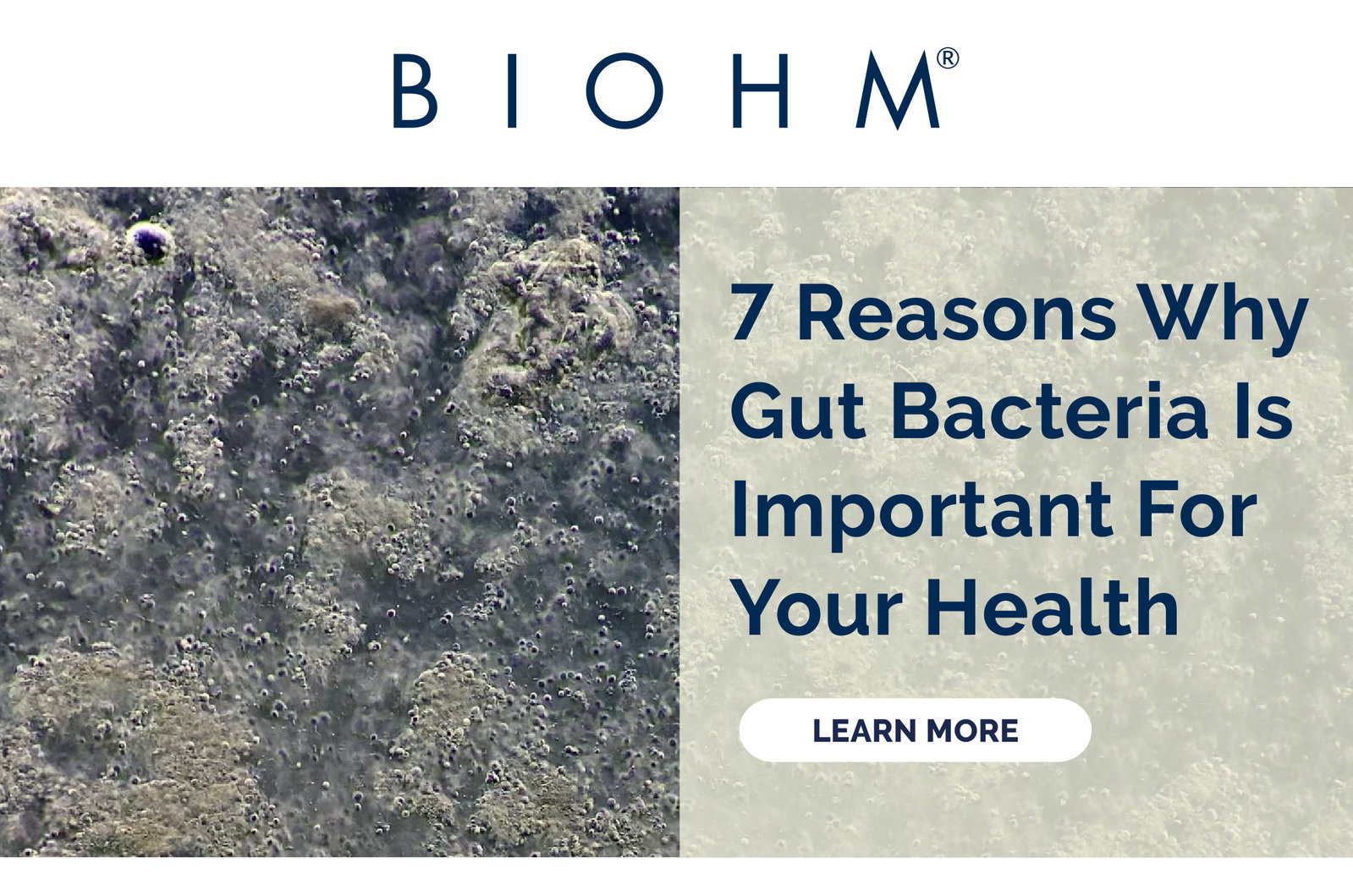 BIOHM: 7 Reasons Why Gut Bacteria Is Important For Your Health 🦠 | Milled