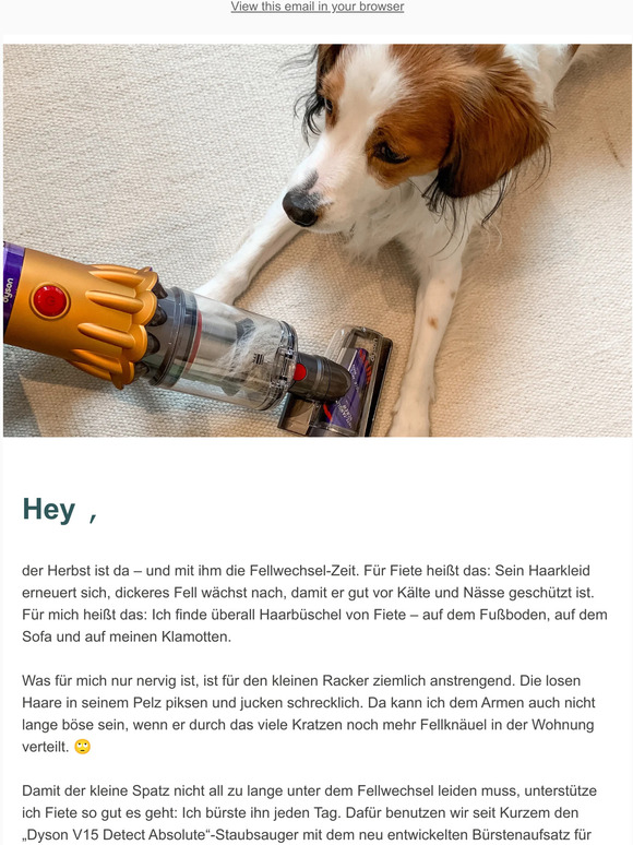 Perfekt für Tierhalter! Gewinne einen Staubsauger von Dyson 🎁