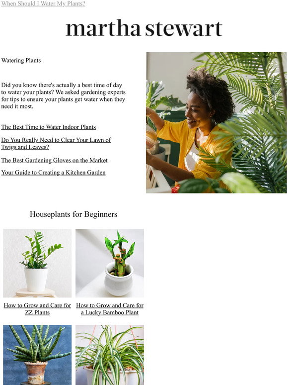 Martha Stewart The Best Time to Water Indoor Plants Milled