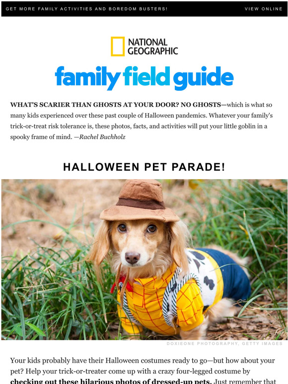 National Geographic The truth behind your kid's Halloween costume 🎃👻