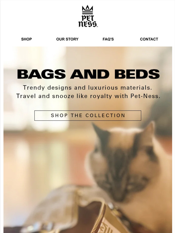 BEDS AND BAGS