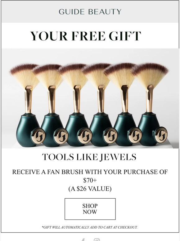 FREE Fan Brush