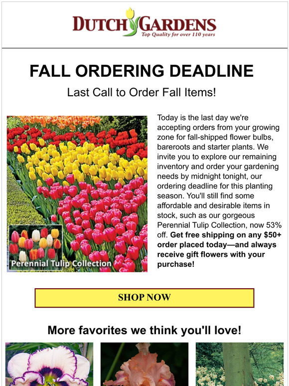 ⏰ Your ordering deadline has arrived!