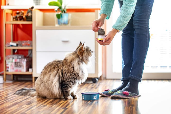 iStock-1133977569
