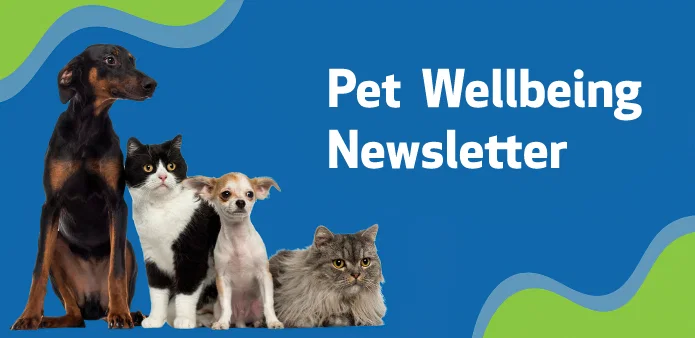 PWB---Newsletter-34
