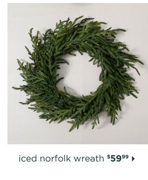 Iced Norfolk Pine Christmas Wreath