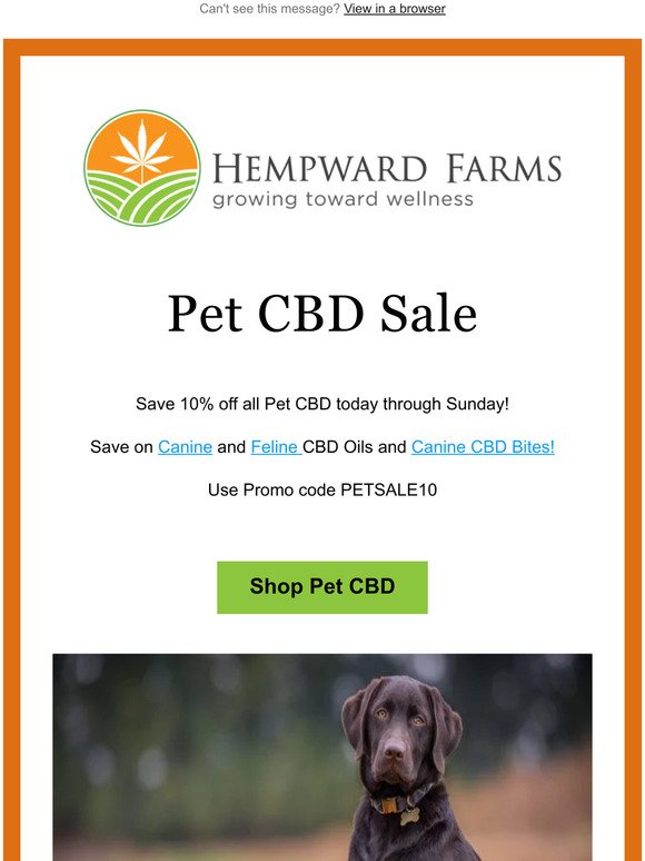 Pet CBD Sale