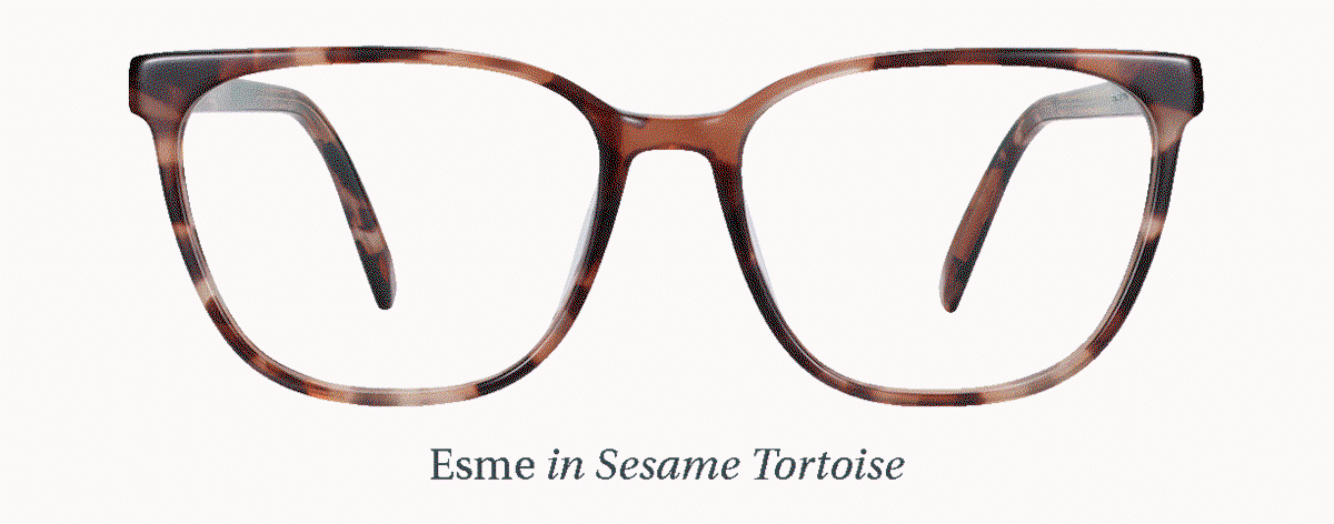 Eyeglasses