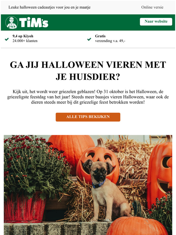Ben jij helemaal klaar om te griezelen? 👻