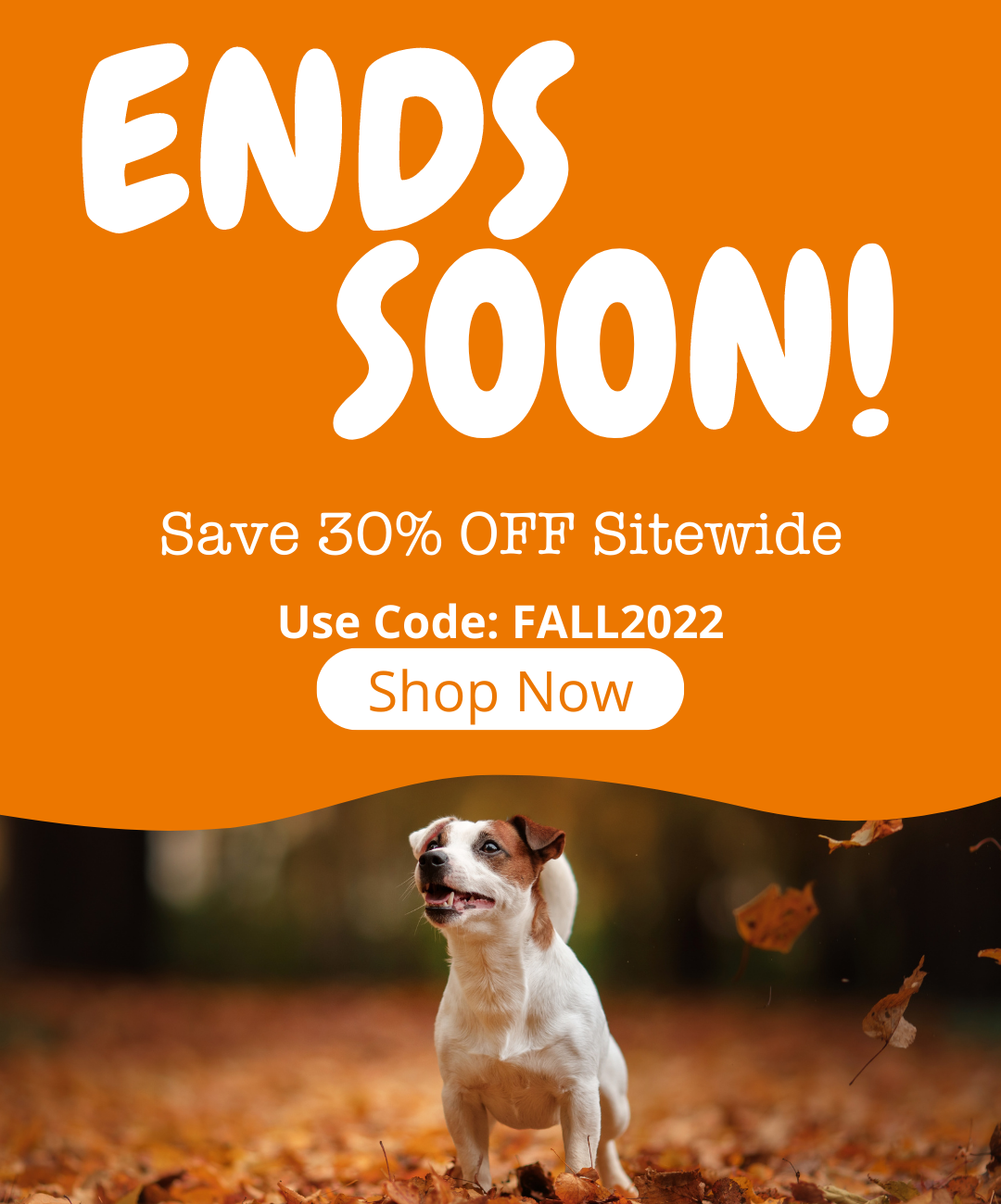 30% off Sitewide