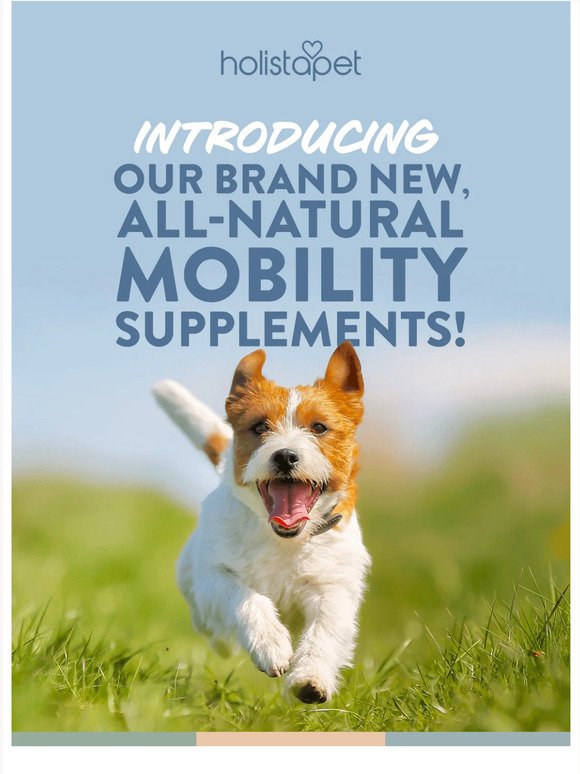 NEW mobility solutions for your pup!